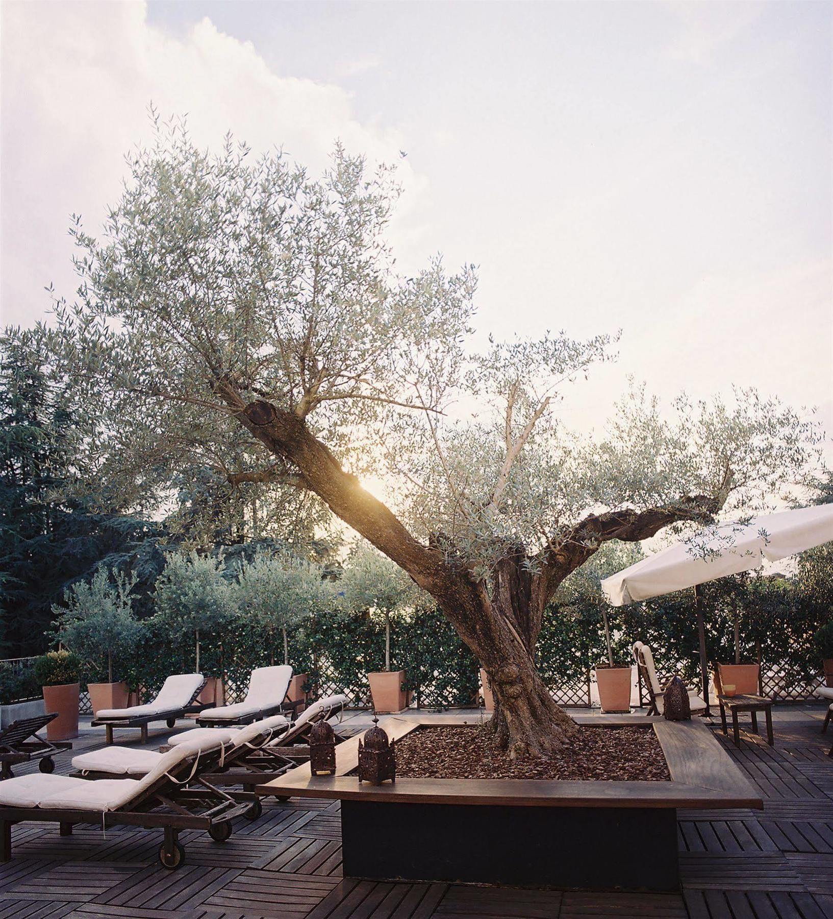 Hotel Terme Monticelli Terme Eksteriør bilde
